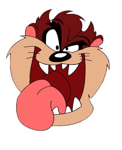 tasmanian devil looney tunes|tasmanian devil looney tunes origin.